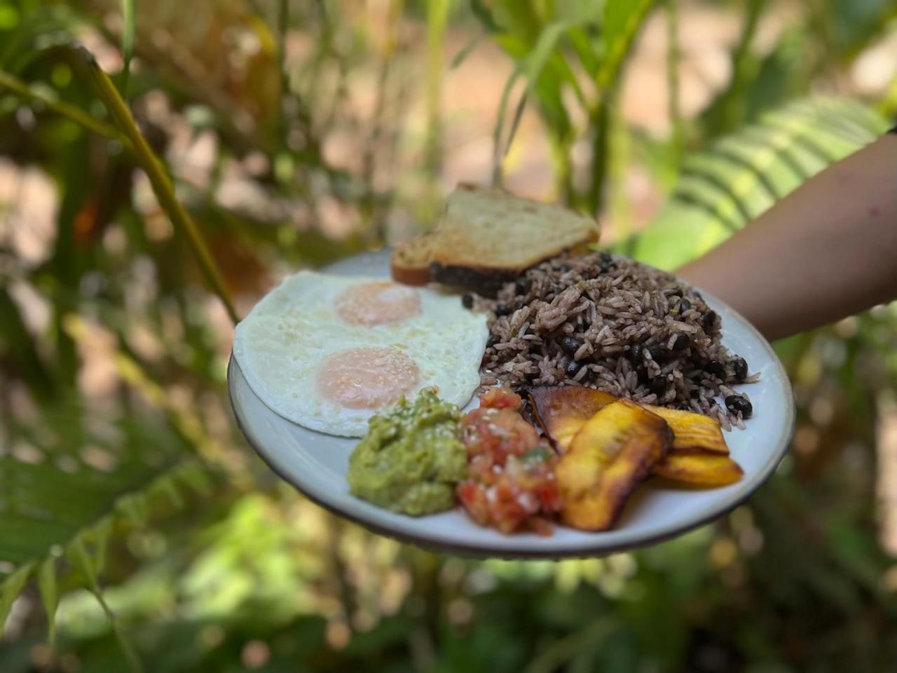 Dream Surf House Santa Teresa Hostel Playa Hermosa Cobano Exterior photo