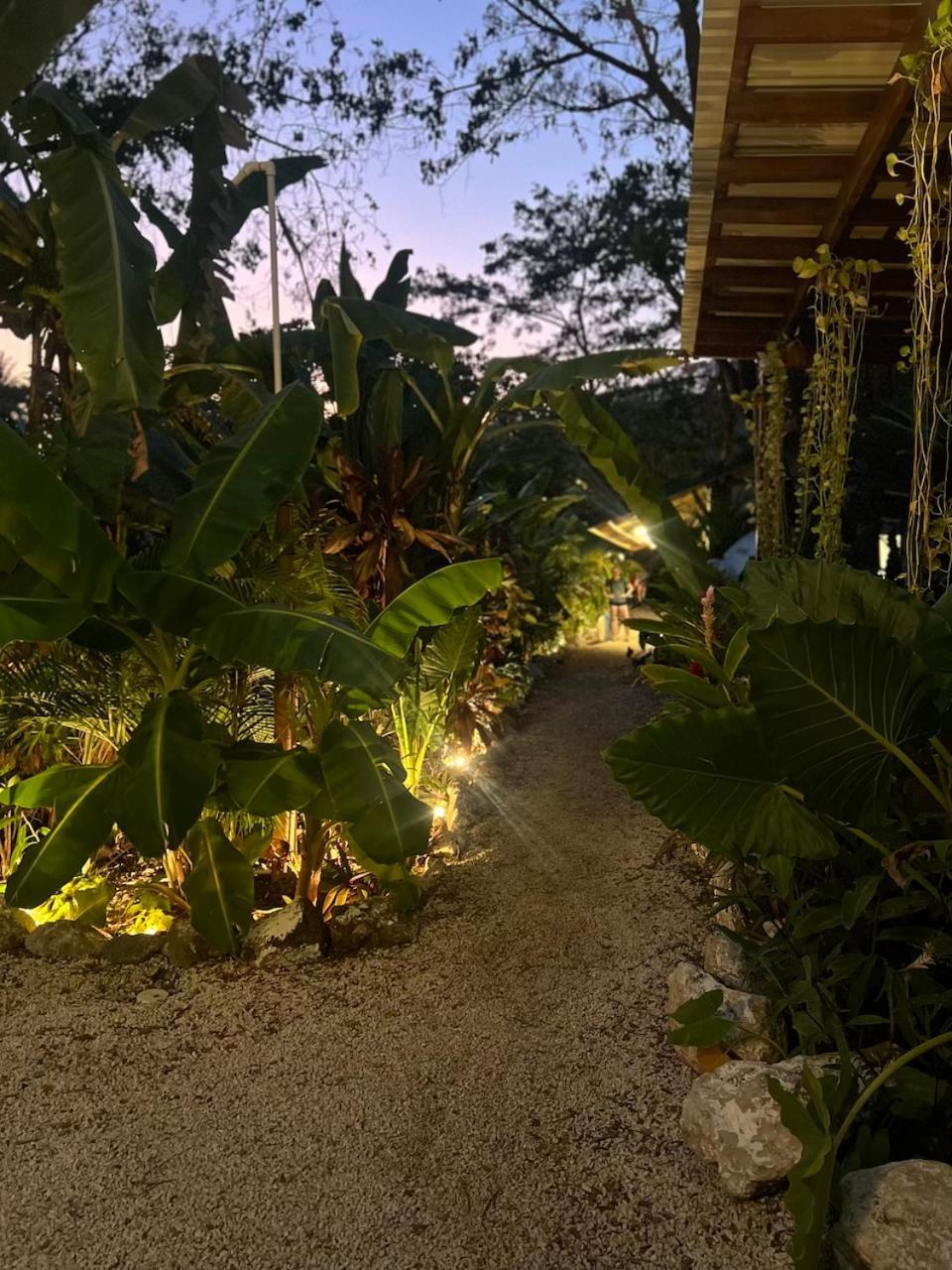 Dream Surf House Santa Teresa Hostel Playa Hermosa Cobano Exterior photo