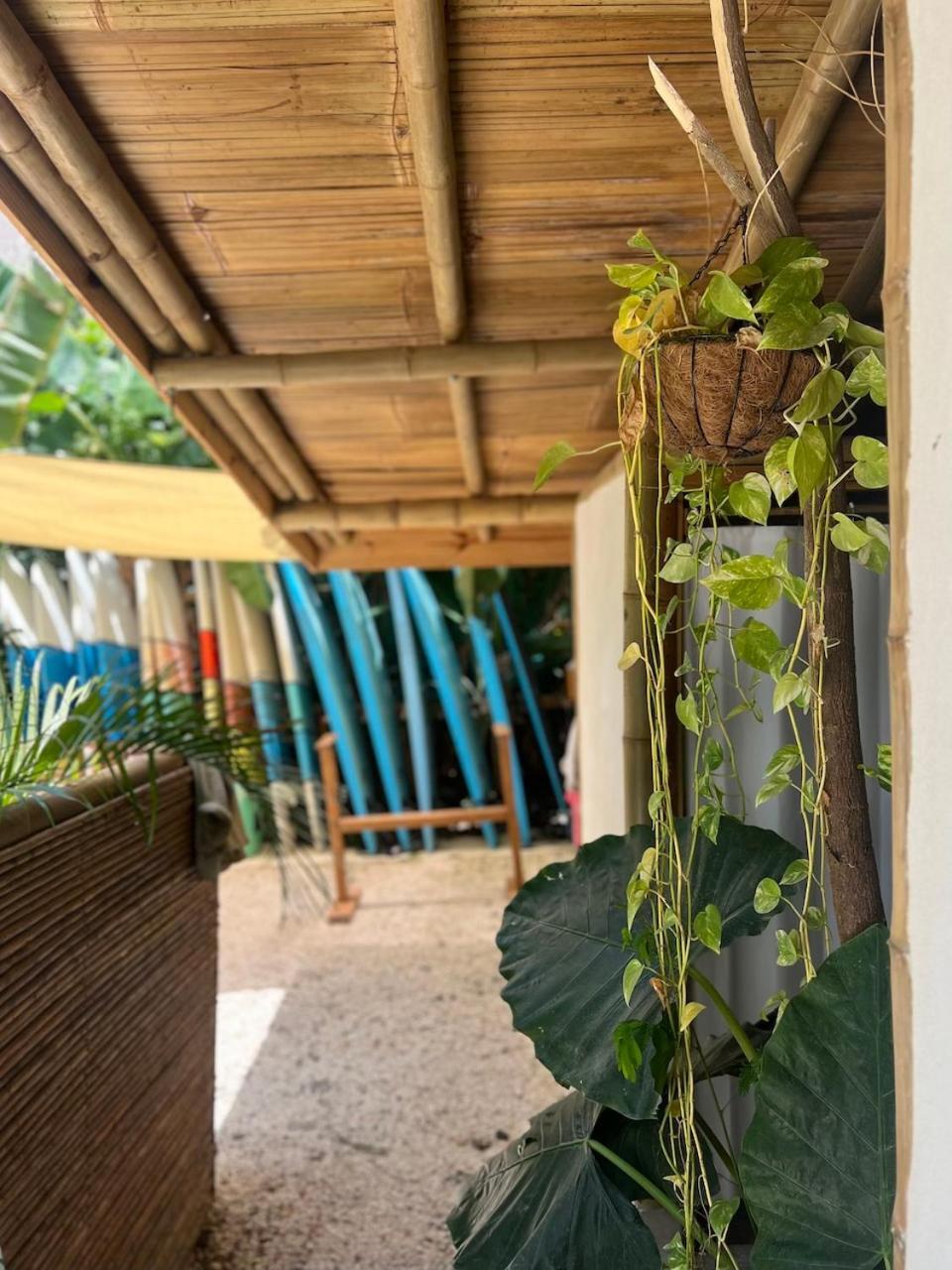 Dream Surf House Santa Teresa Hostel Playa Hermosa Cobano Exterior photo