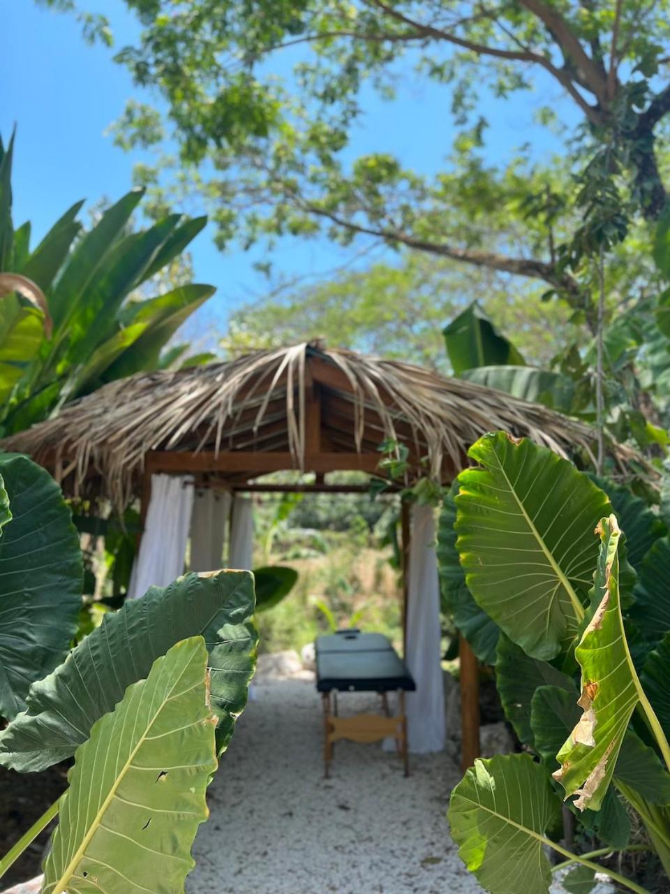 Dream Surf House Santa Teresa Hostel Playa Hermosa Cobano Exterior photo