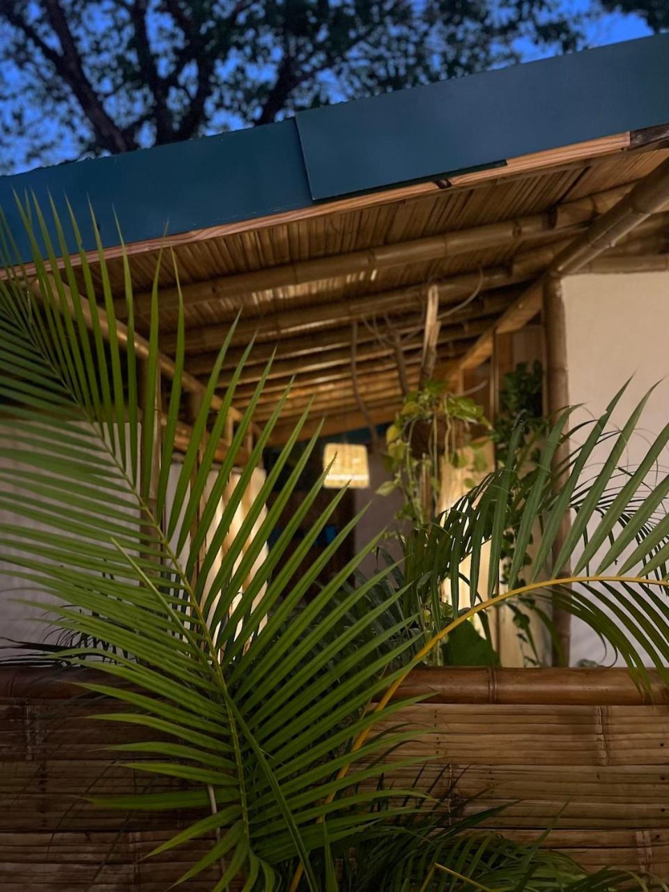 Dream Surf House Santa Teresa Hostel Playa Hermosa Cobano Exterior photo