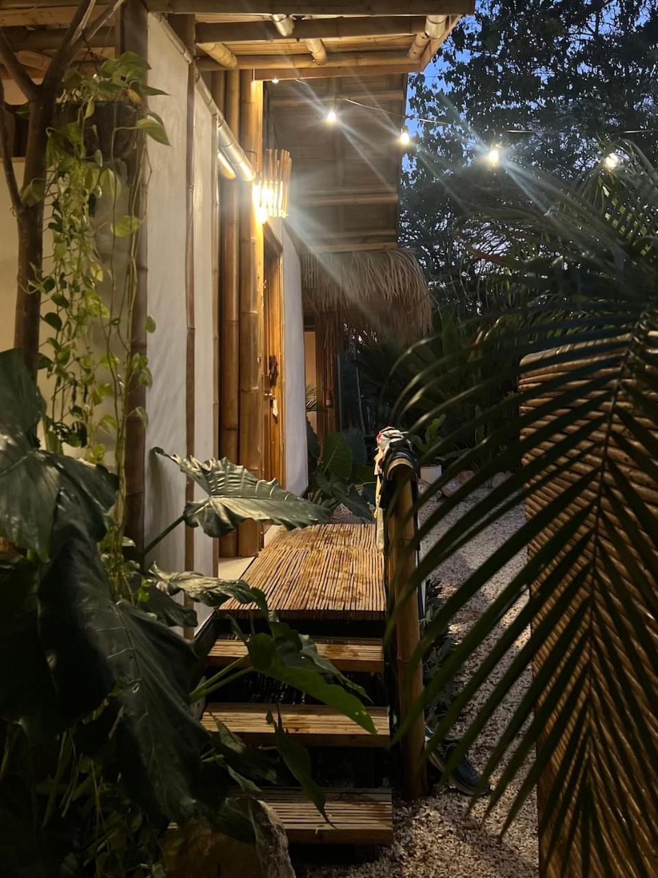 Dream Surf House Santa Teresa Hostel Playa Hermosa Cobano Exterior photo