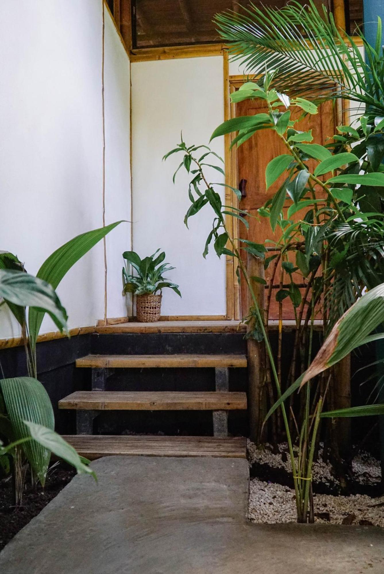 Dream Surf House Santa Teresa Hostel Playa Hermosa Cobano Exterior photo