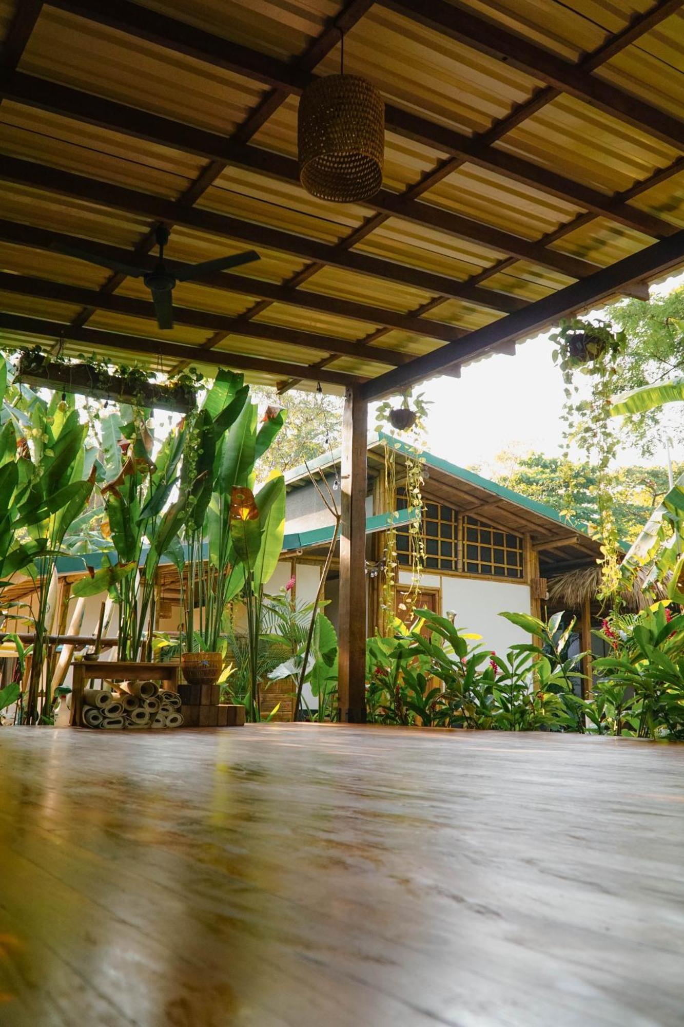 Dream Surf House Santa Teresa Hostel Playa Hermosa Cobano Exterior photo
