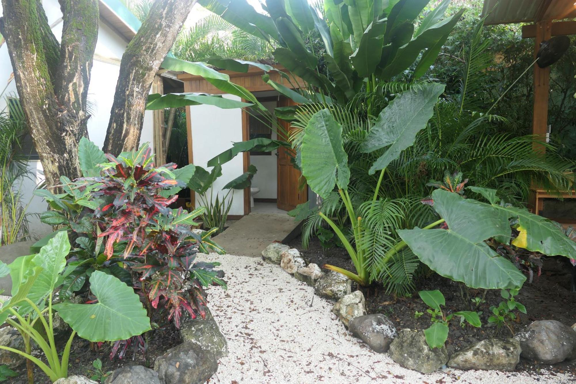 Dream Surf House Santa Teresa Hostel Playa Hermosa Cobano Exterior photo