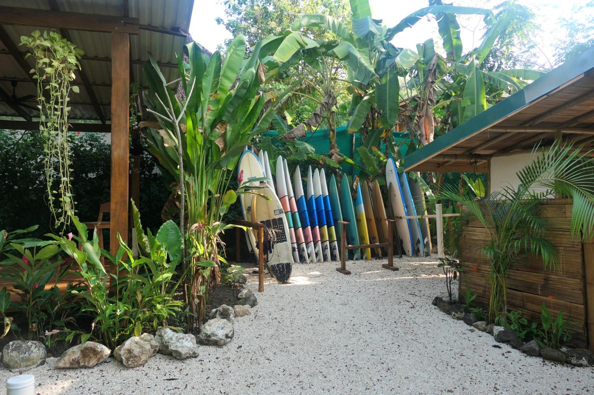 Dream Surf House Santa Teresa Hostel Playa Hermosa Cobano Exterior photo